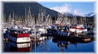 Alaskan Harbor